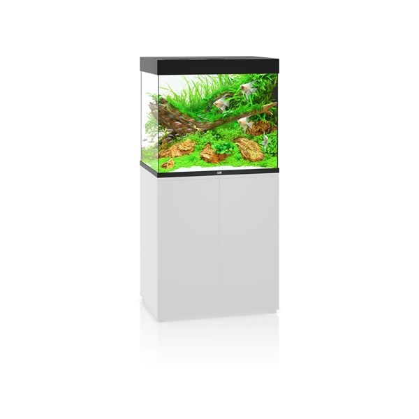 Beg tekort tanker Juwel Aquarium Lido 200 LED Zwart