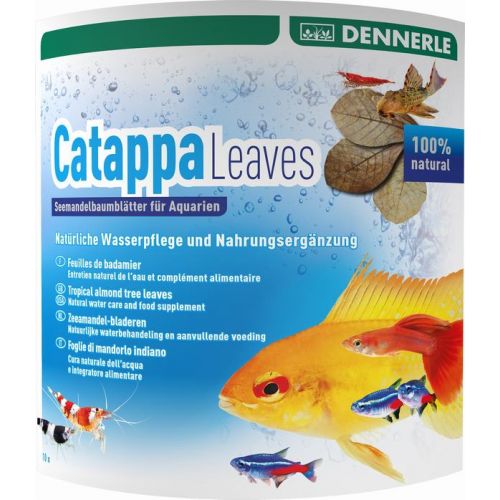 Dennerle Catappa Leaves 10 stuks