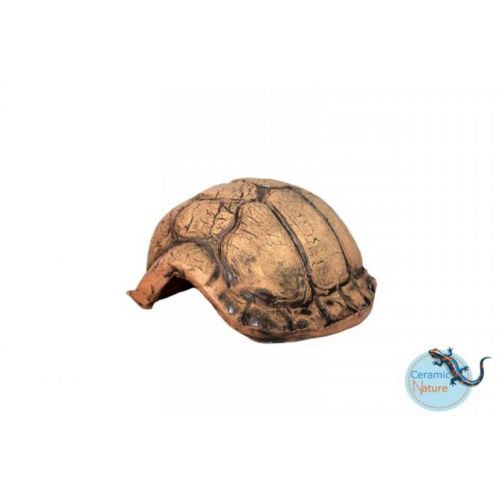 CN Turtle Cave Small