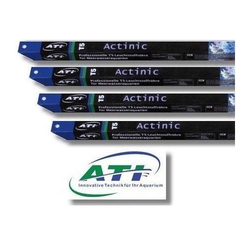 ATI T5 39W Actinic