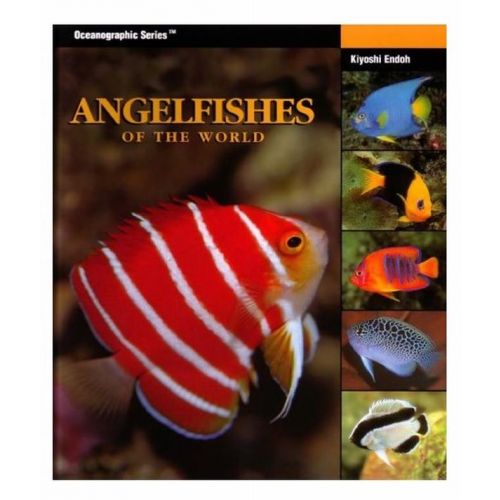 Angelfishes of the World