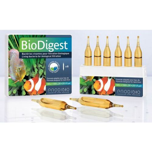 Prodibio BioDigest 6 ampullen