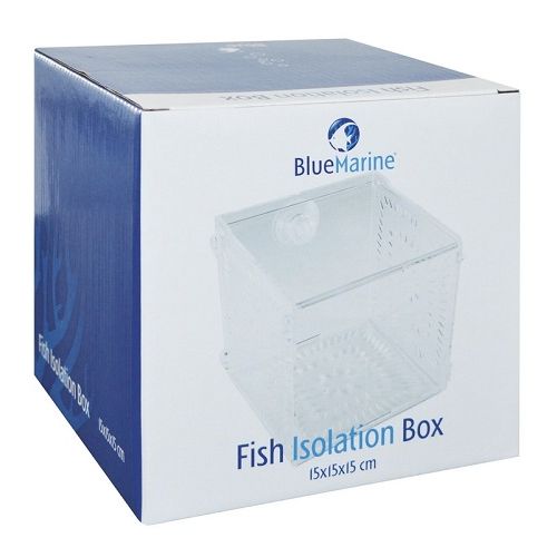 Blue Marine Fish Isolation Box 15 x 15 x 15 cm