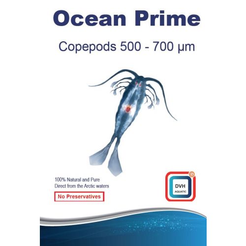 DVH Ocean Prime Copepods 500-700 micron