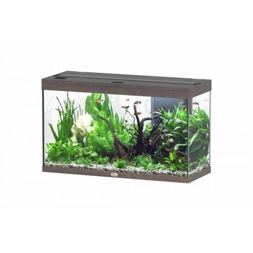 Aquatlantis Splendid 100 BioBox Aquarium Donkerbruin