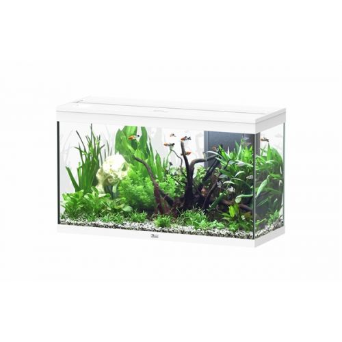 Aquatlantis Splendid 100 BioBox Aquarium Wit
