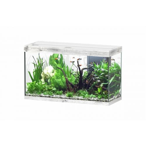Aquatlantis Splendid 100 BioBox Aquarium WhiteWash