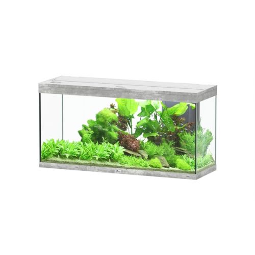 Aquatlantis Splendid 120 BioBox Aquarium Beton