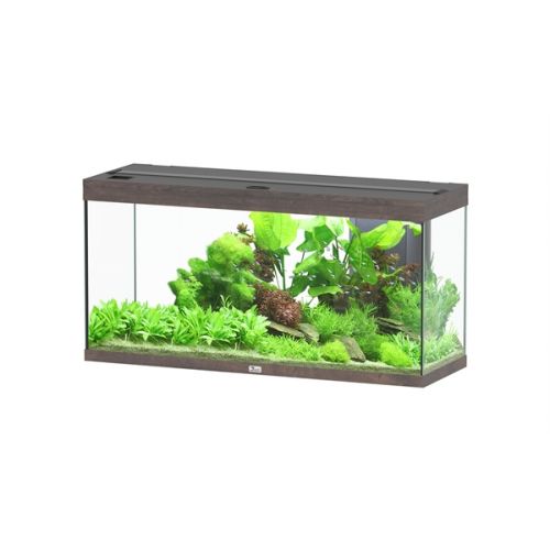 Aquatlantis Splendid 120 BioBox Aquarium Donkerbruin