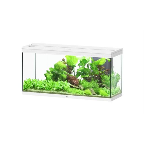 Aquatlantis Splendid 120 BioBox Aquarium Wit