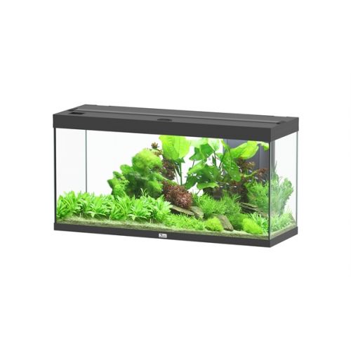 Aquatlantis Splendid 120 BioBox Aquarium Zwart