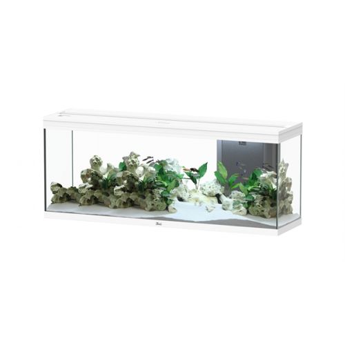 Aquatlantis Splendid 150 BioBox Aquarium Wit