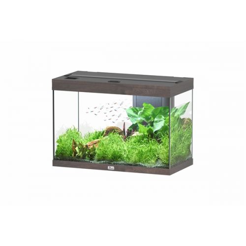 Aquatlantis Splendid 80 BioBox Aquarium Donkerbruin