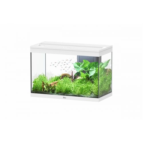 Aquatlantis Splendid 80 BioBox Aquarium Wit