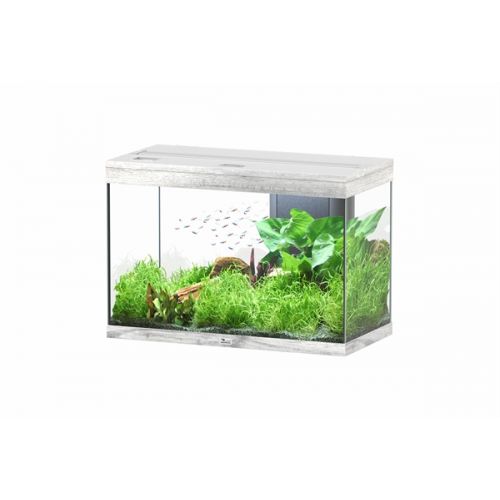 Aquatlantis Splendid 80 BioBox Aquarium WhiteWash
