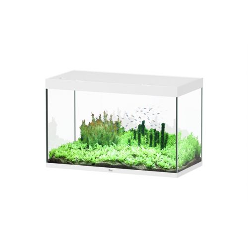 Aquatlantis Sublime 120x60 Aquarium Wit