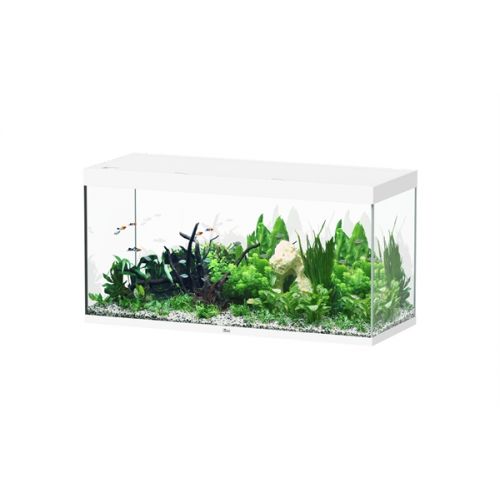 Aquatlantis Sublime 150x60 Aquarium Wit