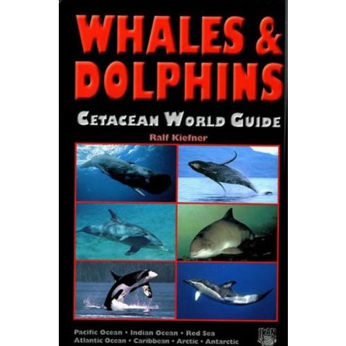 Whales And Dolphins World Guide