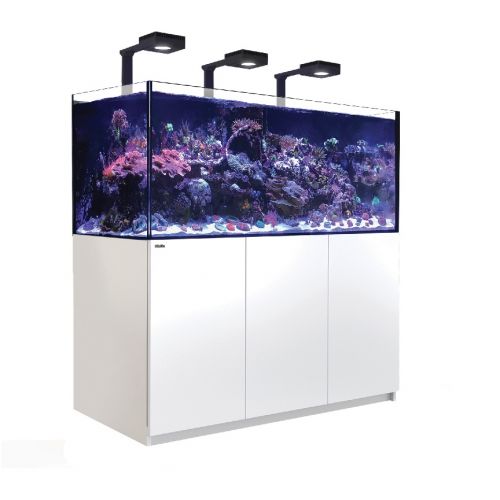 Red Sea Reefer XXL 625 G2+ Deluxe Wit